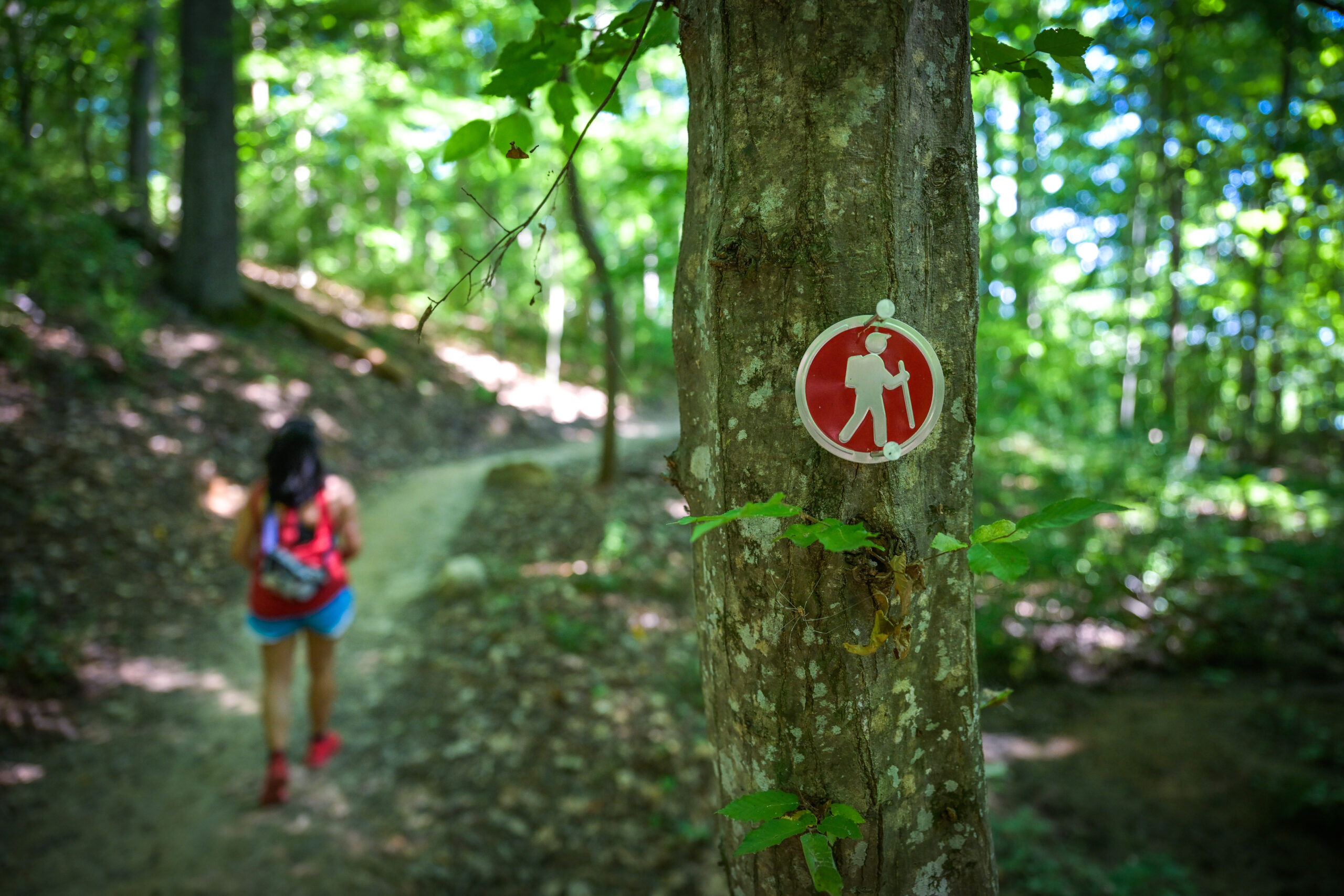 woman hiking on wooded trail