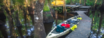 Camping platform on the Roanoke River Paddle Trail